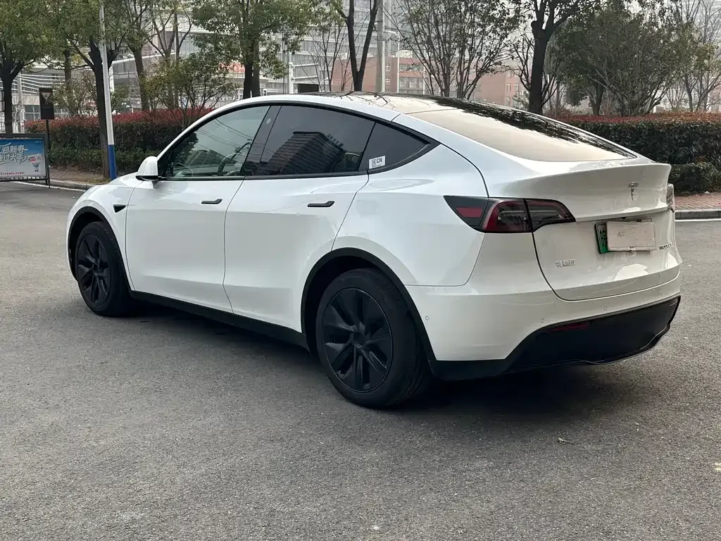 Tesla Model Y — фото 8