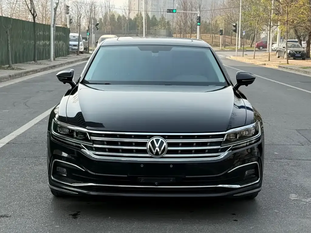Volkswagen Phideon 2021 из CN, фото 6