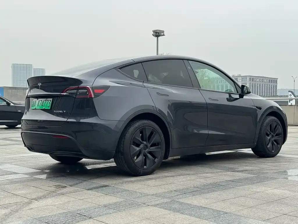Tesla Model Y — фото 5