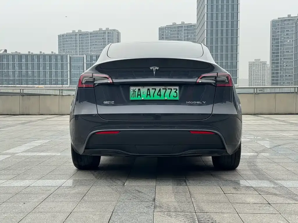 Tesla Model Y — фото 7