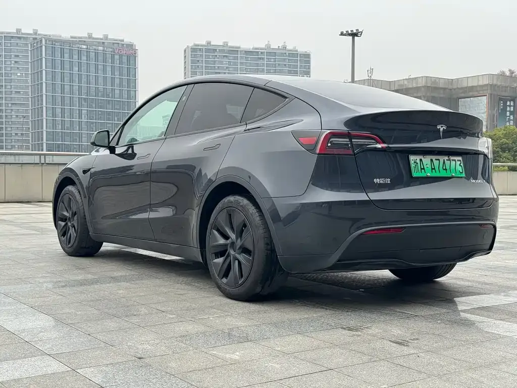 Tesla Model Y — фото 9