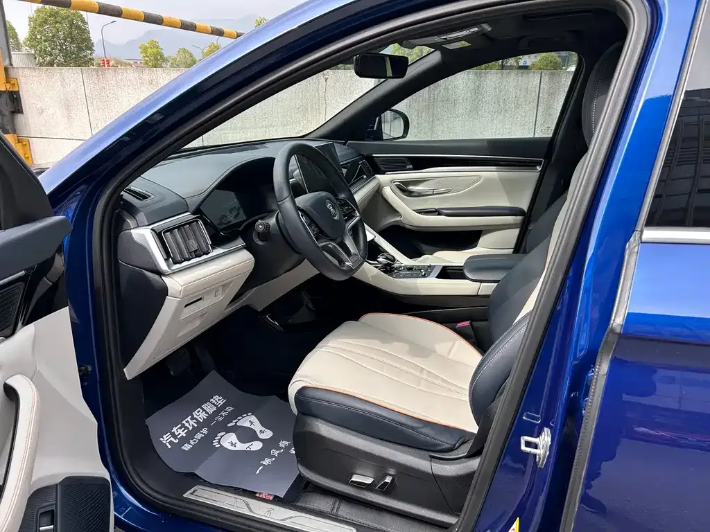 BYD PLUS New Energy 2022 из CN, фото 4