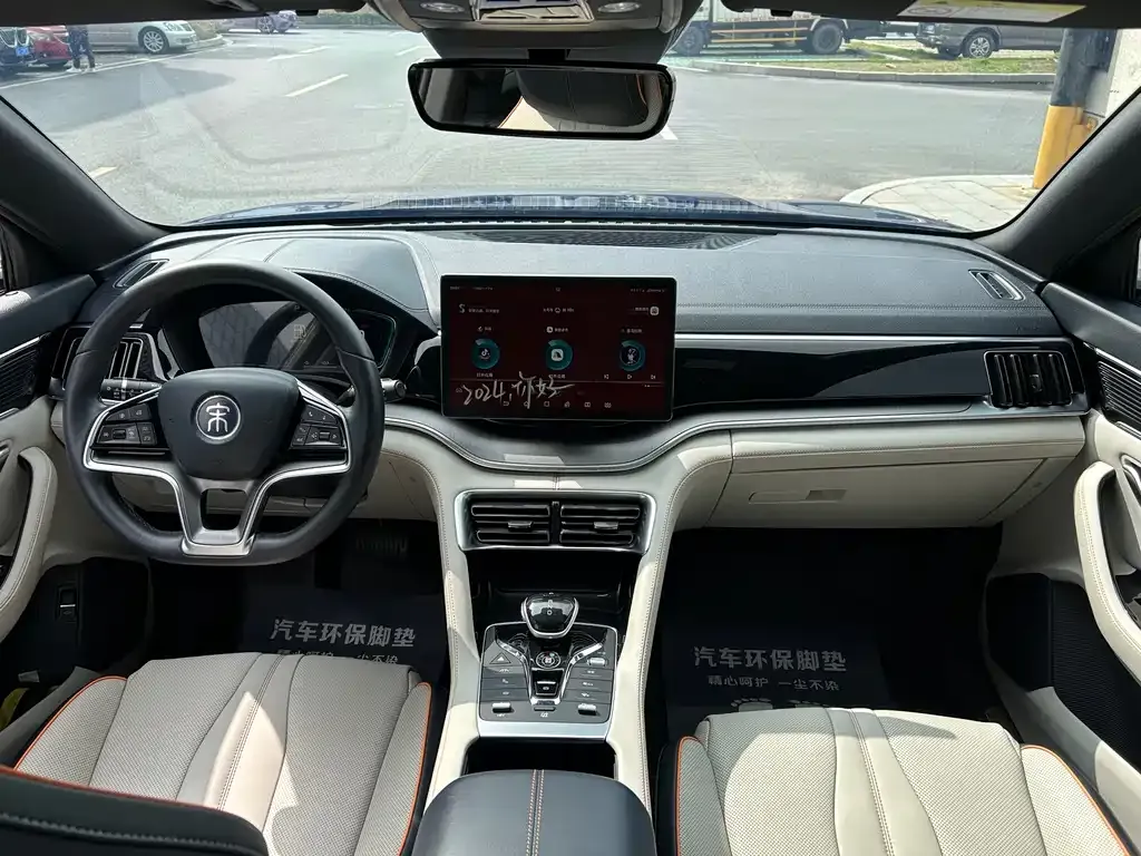 BYD PLUS New Energy 2022 из CN, фото 9