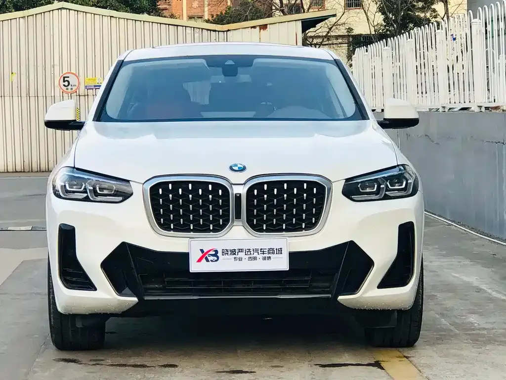 BMW X4 2023 из CN, фото 5