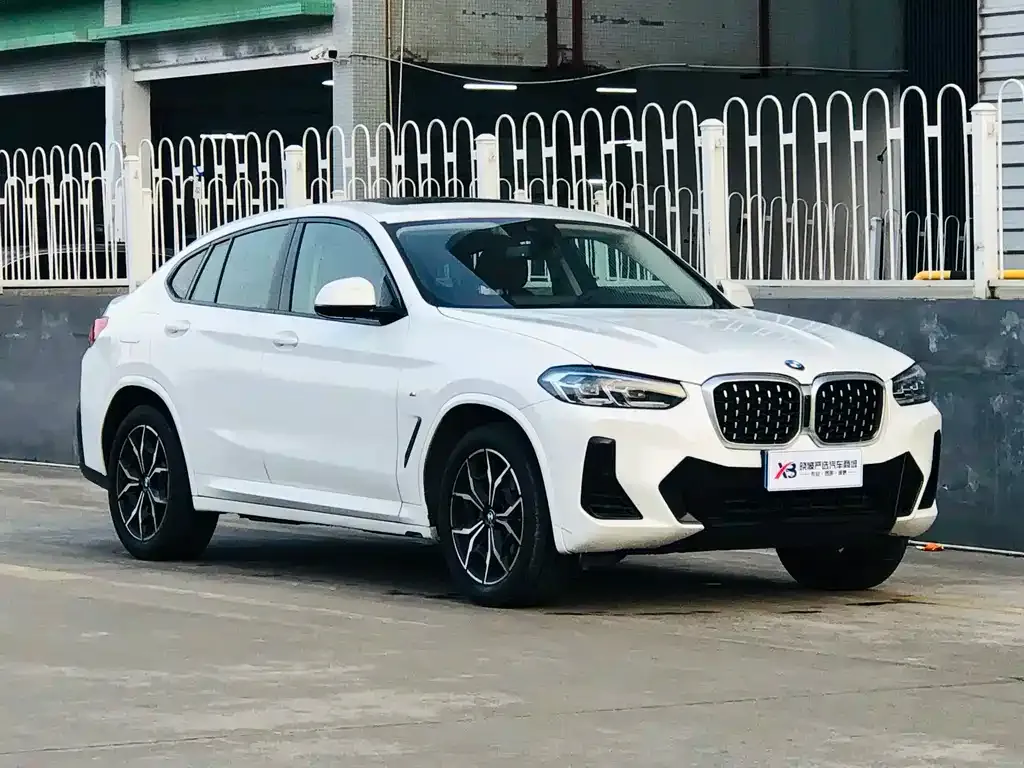 BMW X4 2023 из CN, фото 4