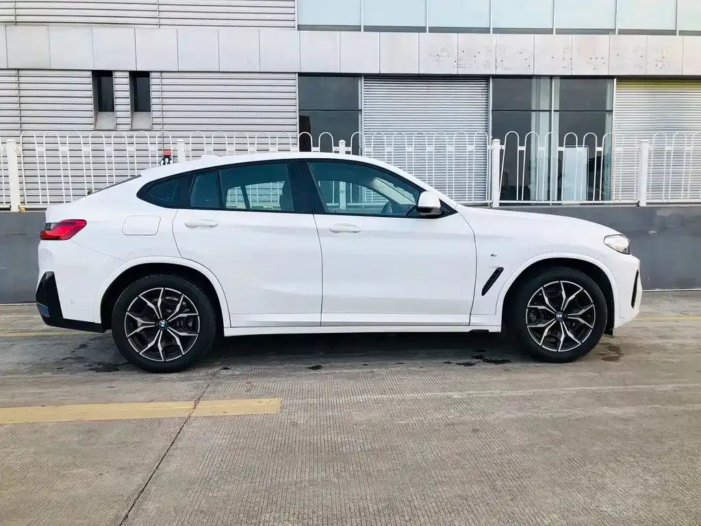 BMW X4 2023 из CN, фото 10