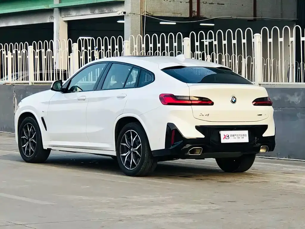BMW X4 2023 из CN, фото 7