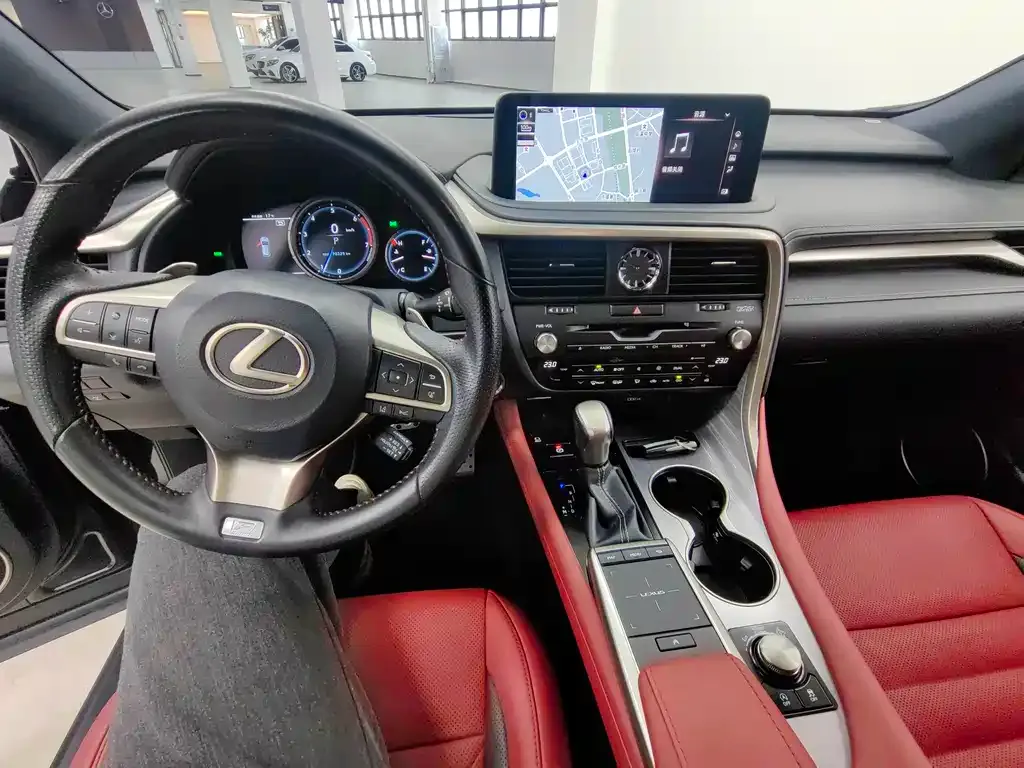 Lexus RX 2021 из CN, фото 9