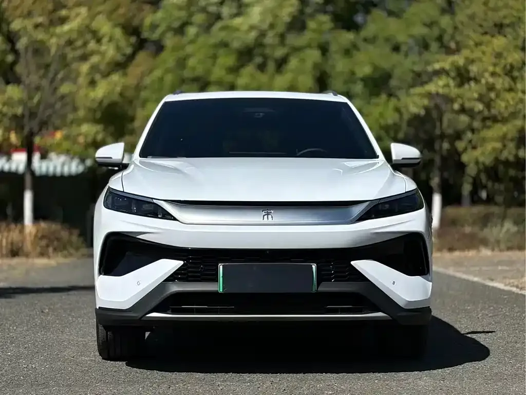 BYD Pro New Energy — фото 10