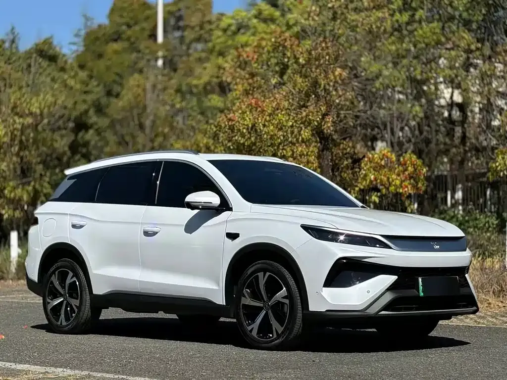 BYD Pro New Energy — фото 2