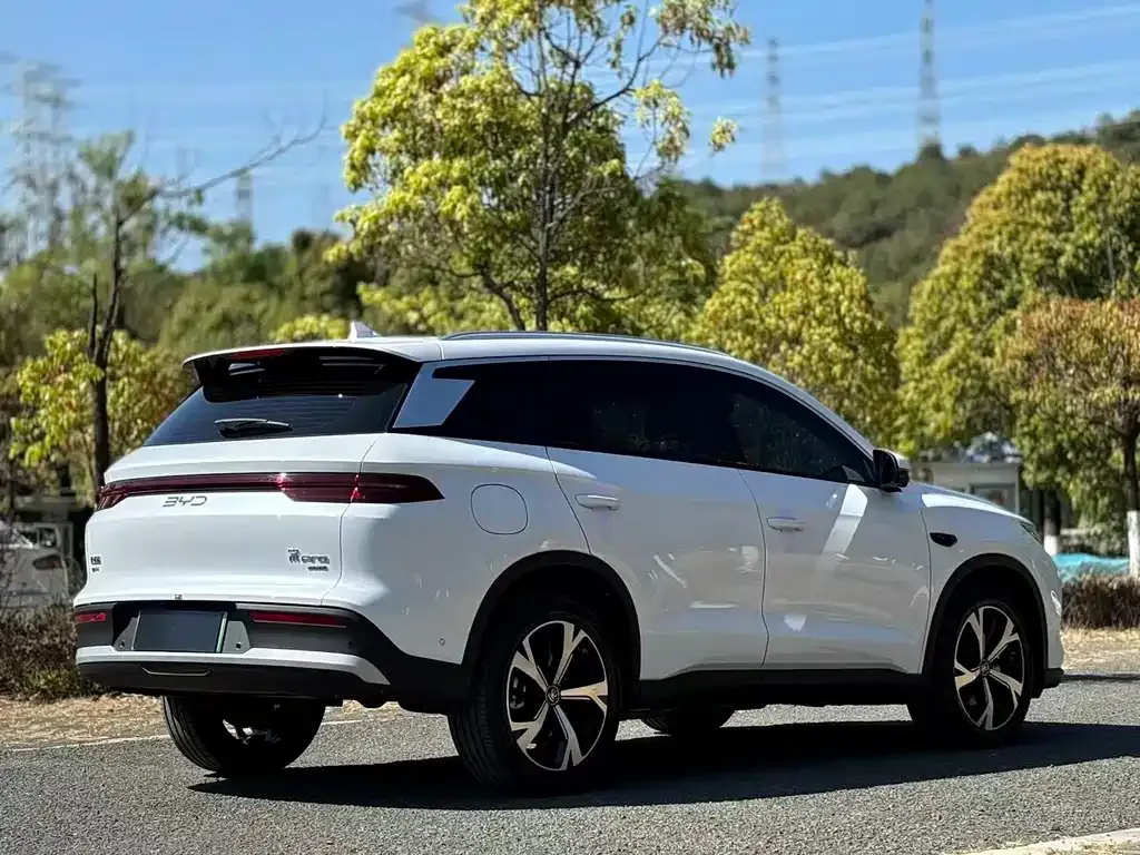 BYD Pro New Energy — фото 4