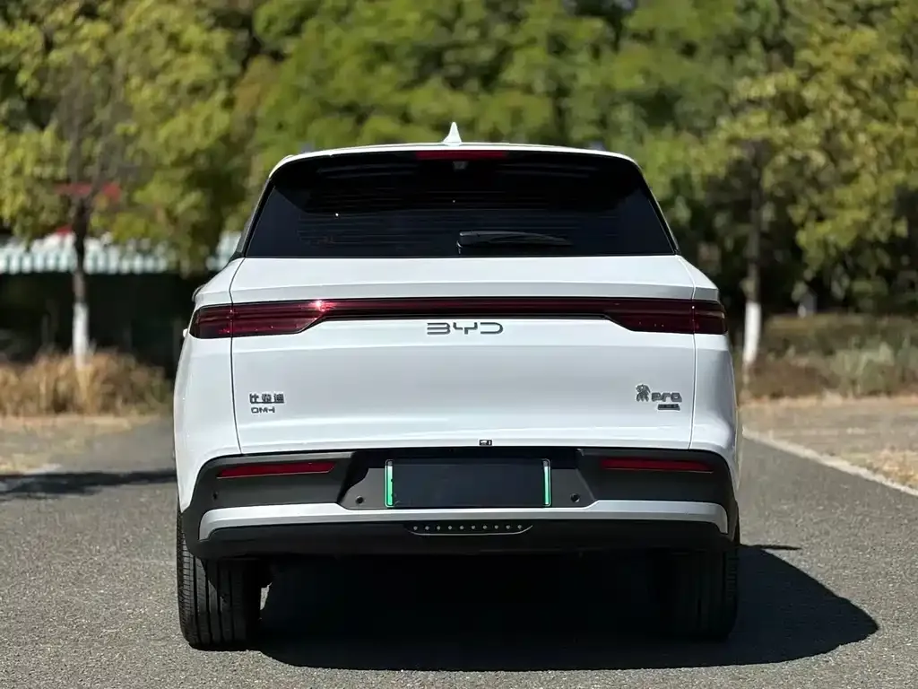 BYD Pro New Energy — фото 7