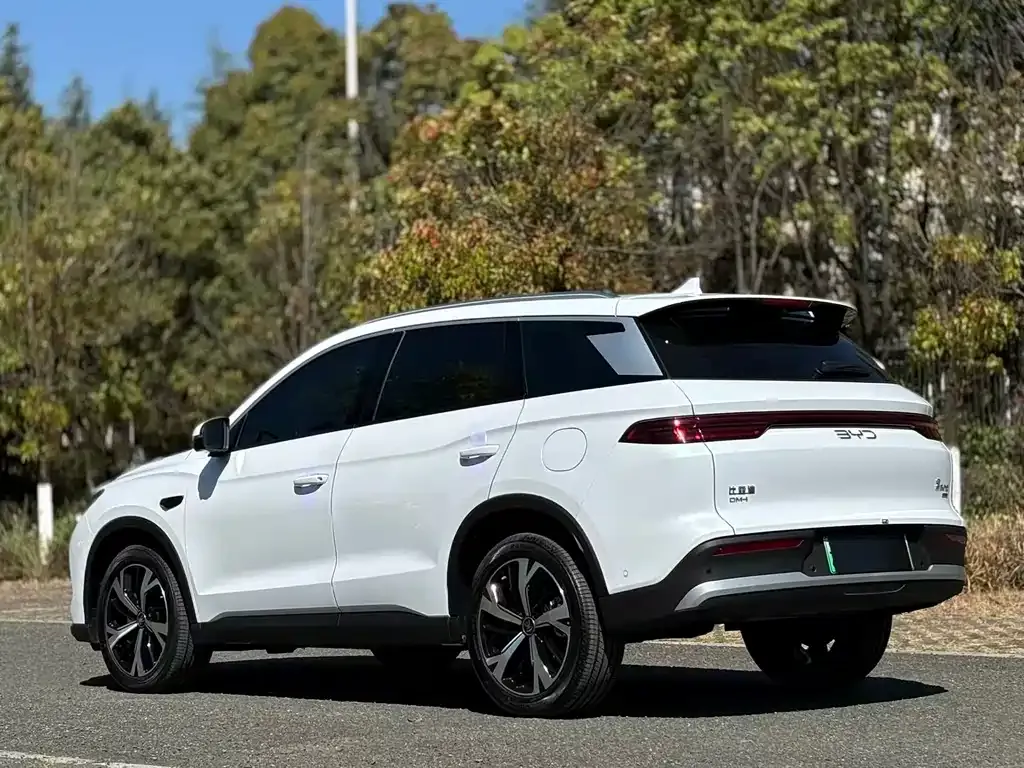 BYD Pro New Energy — фото 5