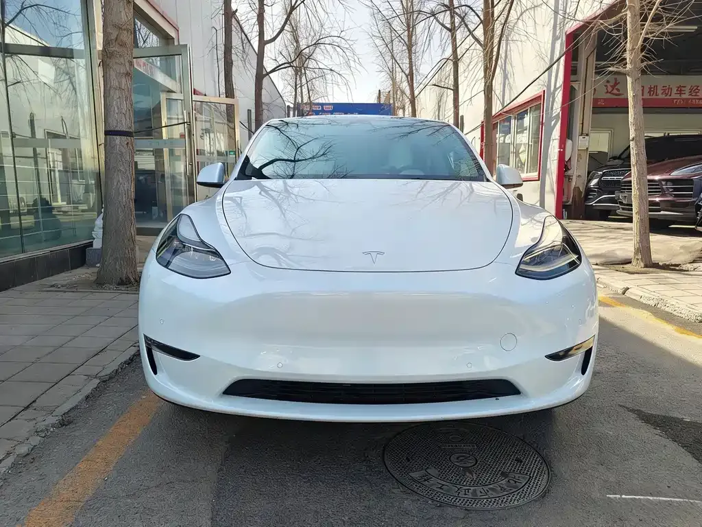 Tesla Model Y — фото 8