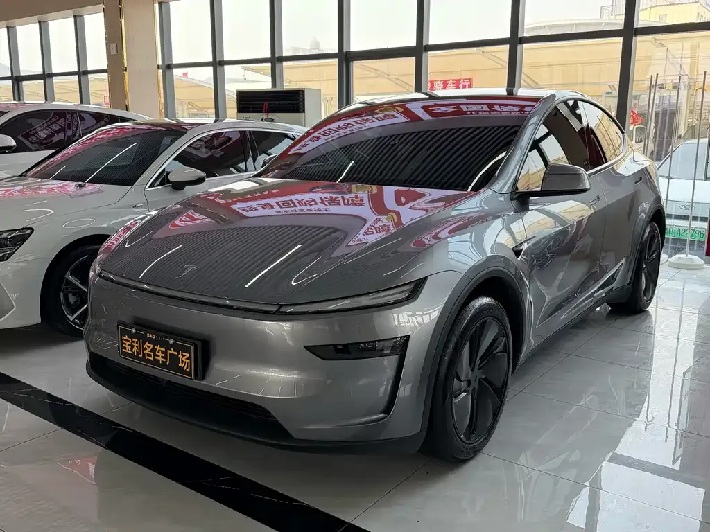 Tesla Model Y — фото 9