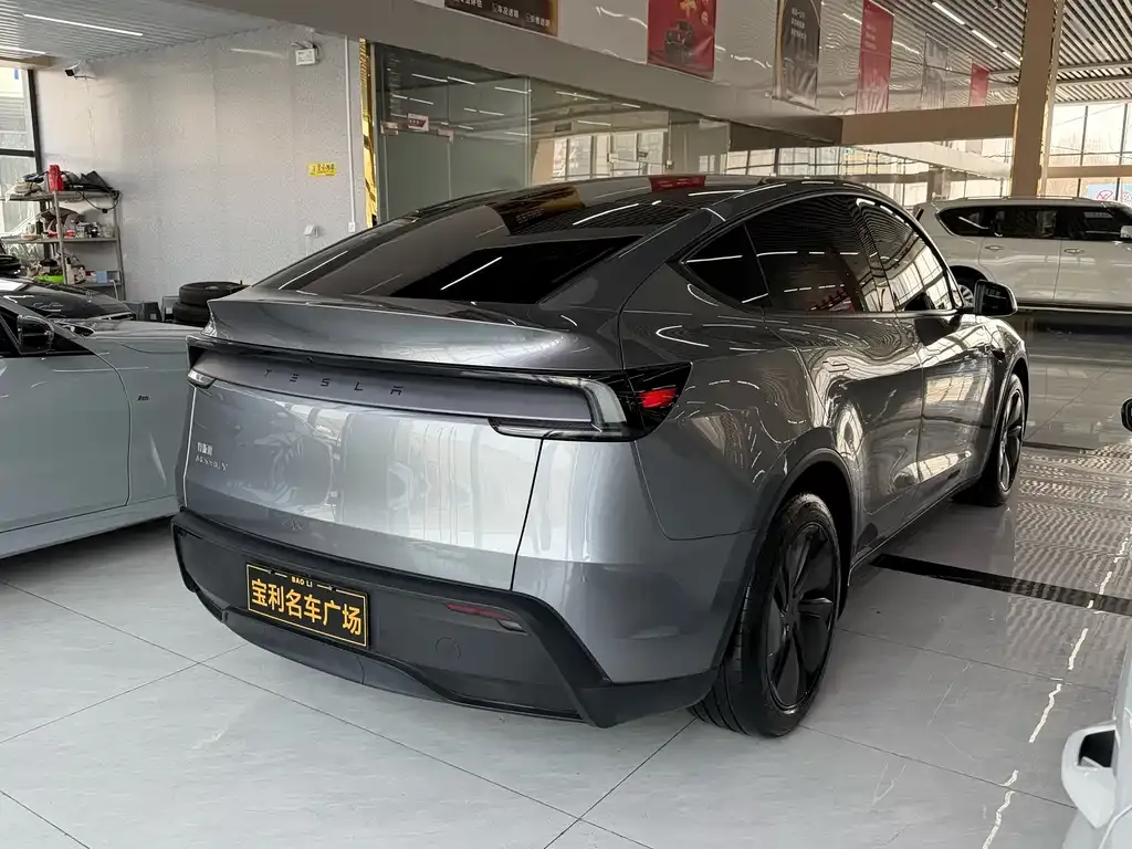 Tesla Model Y — фото 10