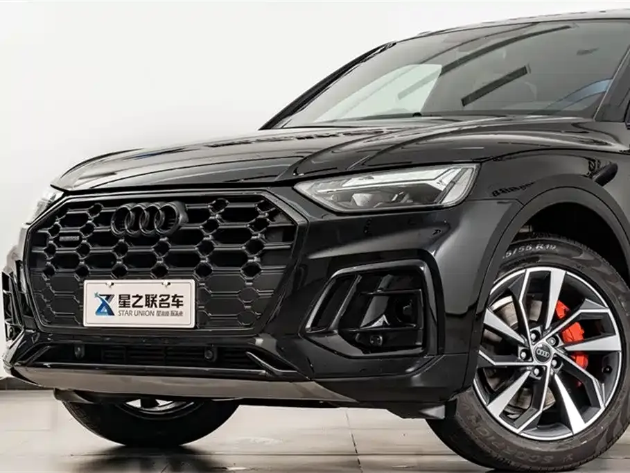 Audi Q5L 2024 из CN, фото 2