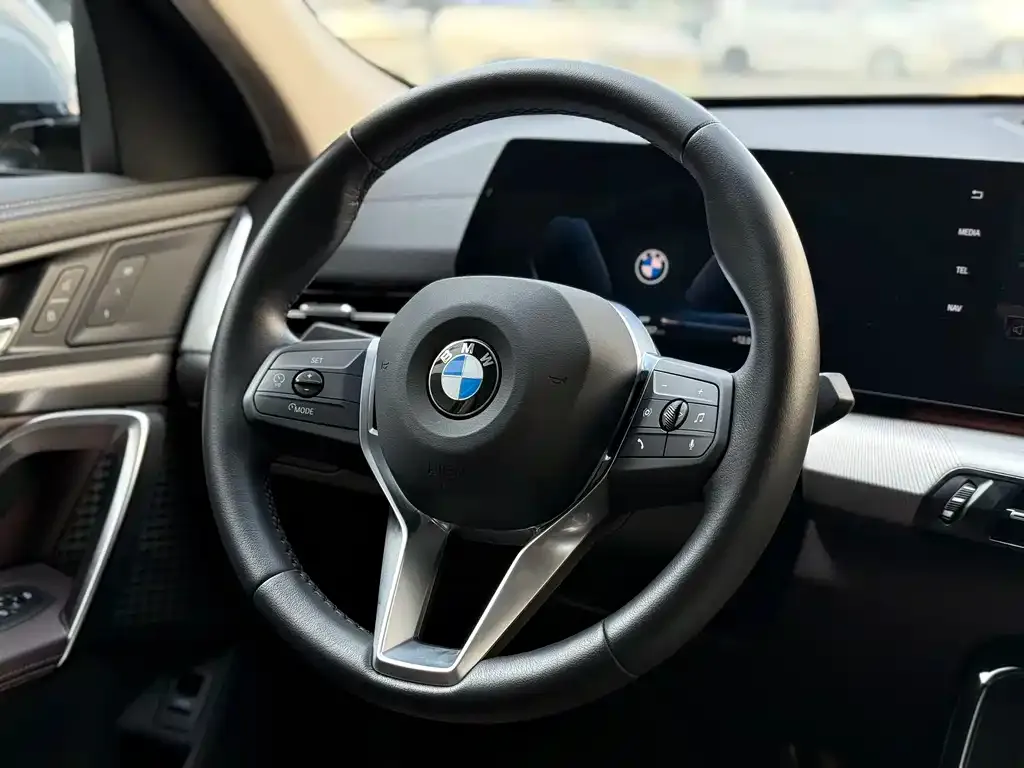 BMW X2 (Import) 2025 из CN, фото 4