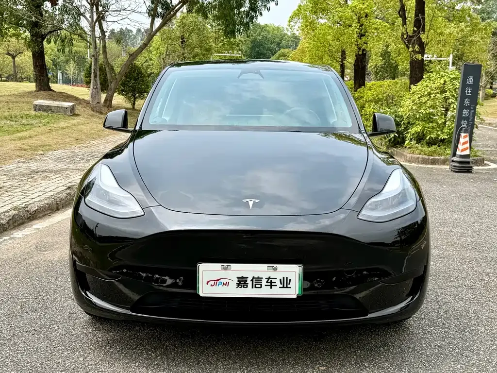 Tesla Model Y — фото 8