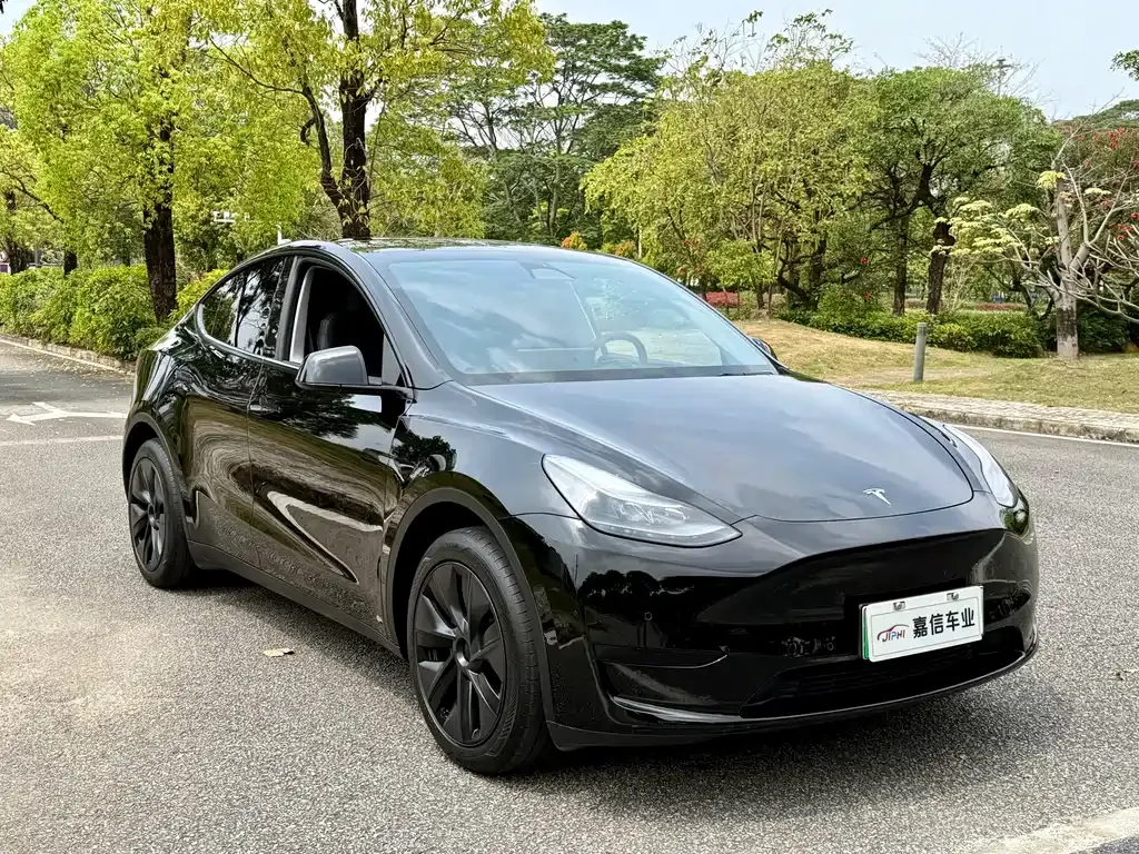 Tesla Model Y — фото 9
