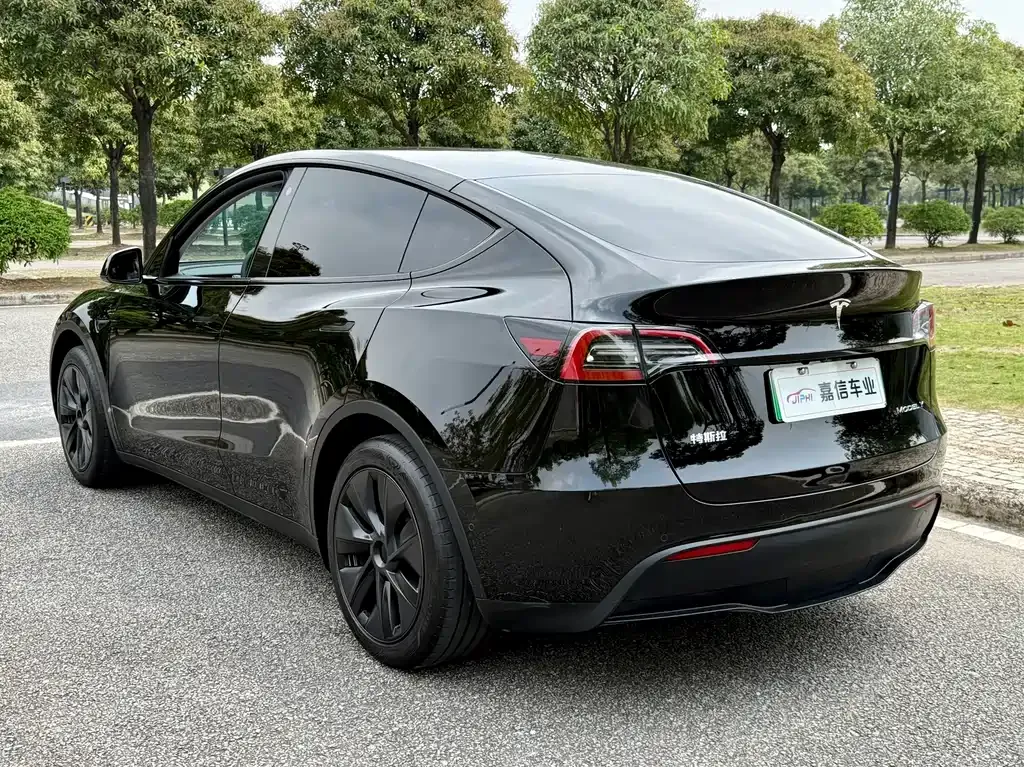 Tesla Model Y — фото 2