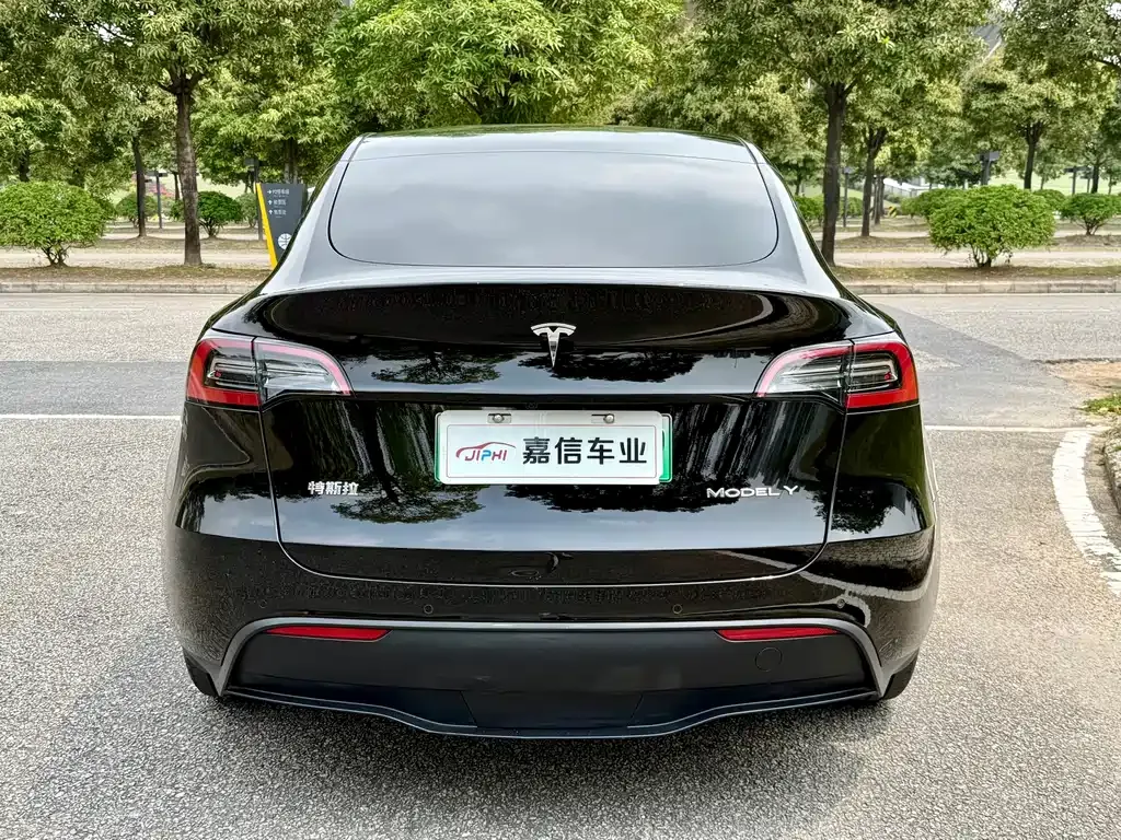 Tesla Model Y — фото 10