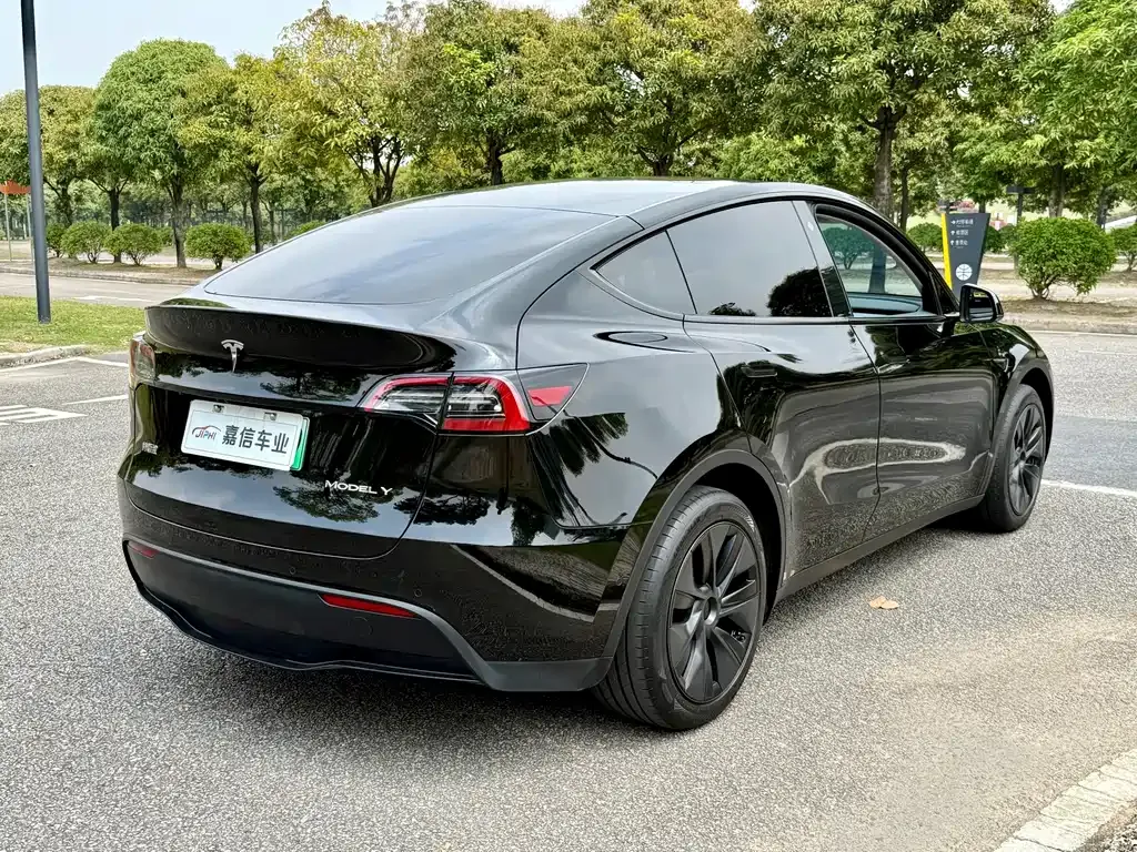 Tesla Model Y — фото 5