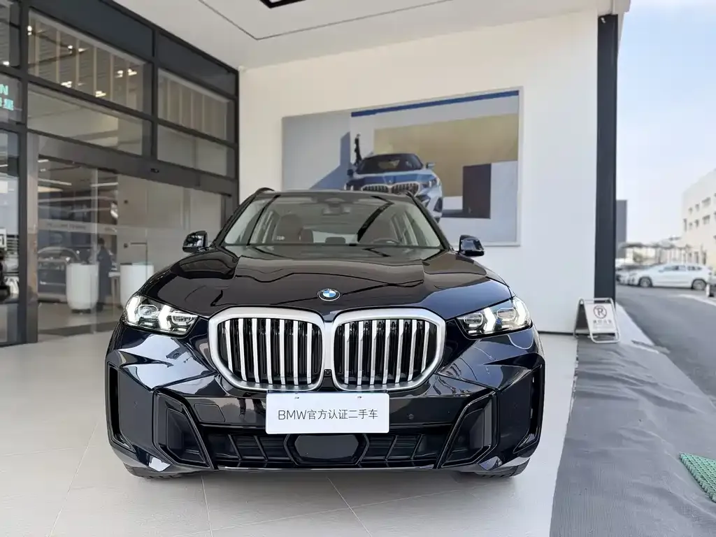 BMW X5 2025 из CN, фото 9