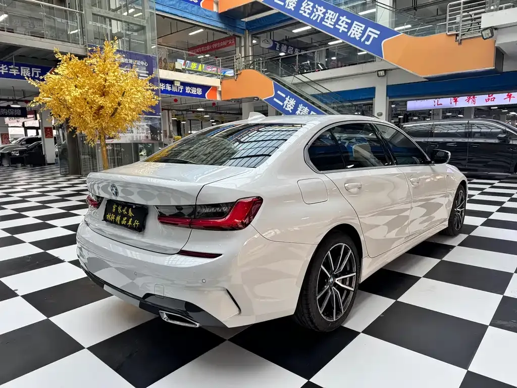 BMW 3 Series 2021 из CN, фото 7