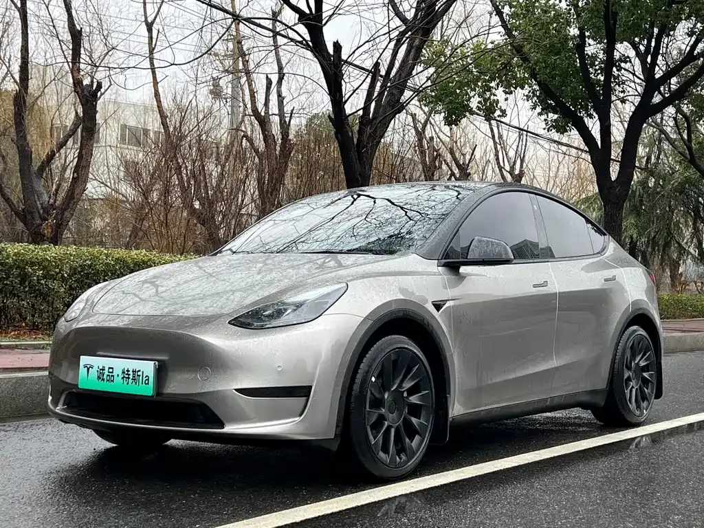 Tesla Model Y 2022 из CN, фото 1
