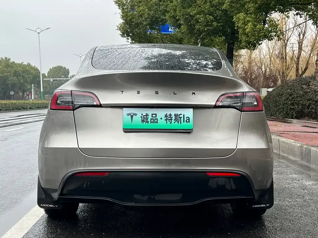 Tesla Model Y 2022 из CN, фото 4