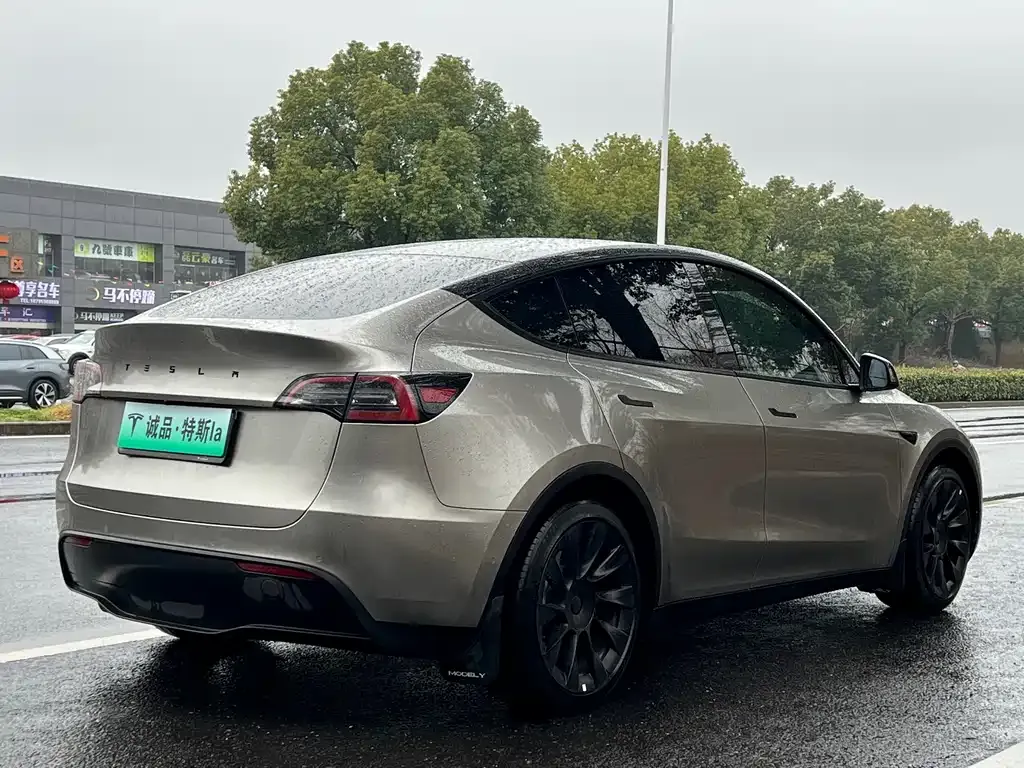 Tesla Model Y 2022 из CN, фото 2