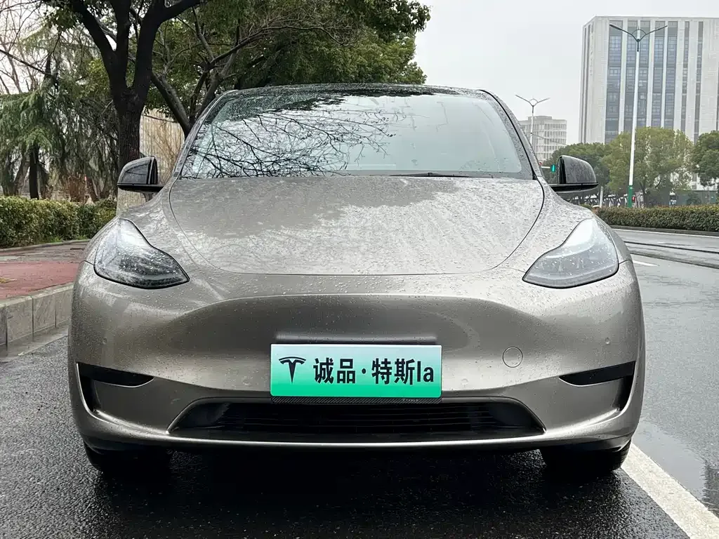 Tesla Model Y 2022 из CN, фото 8