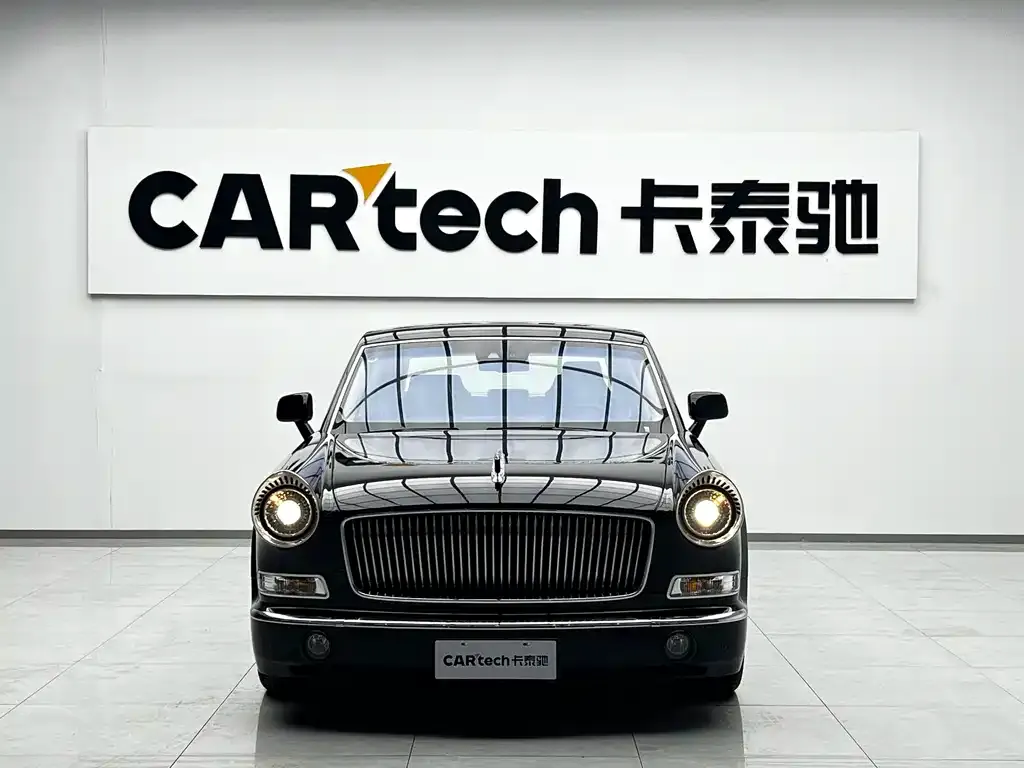 Hongqi Golden Sunflower Guoli 2025 из CN, фото 4