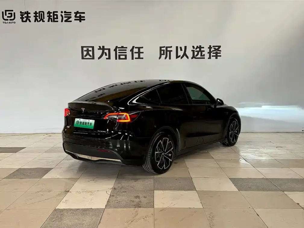 Tesla Model Y 2023 из CN, фото 7