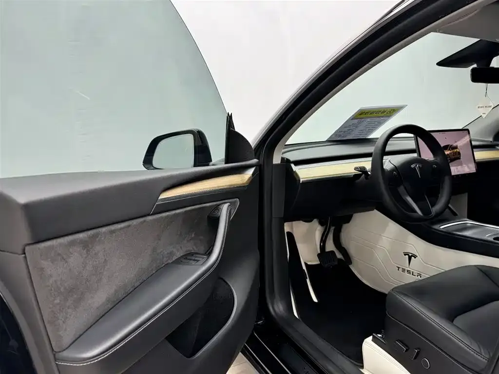 Tesla Model Y 2023 из CN, фото 8