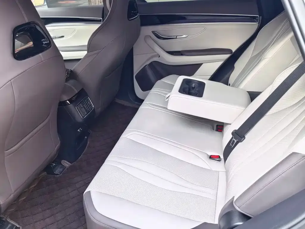 BYD PLUS New Energy 2024 из CN, фото 2