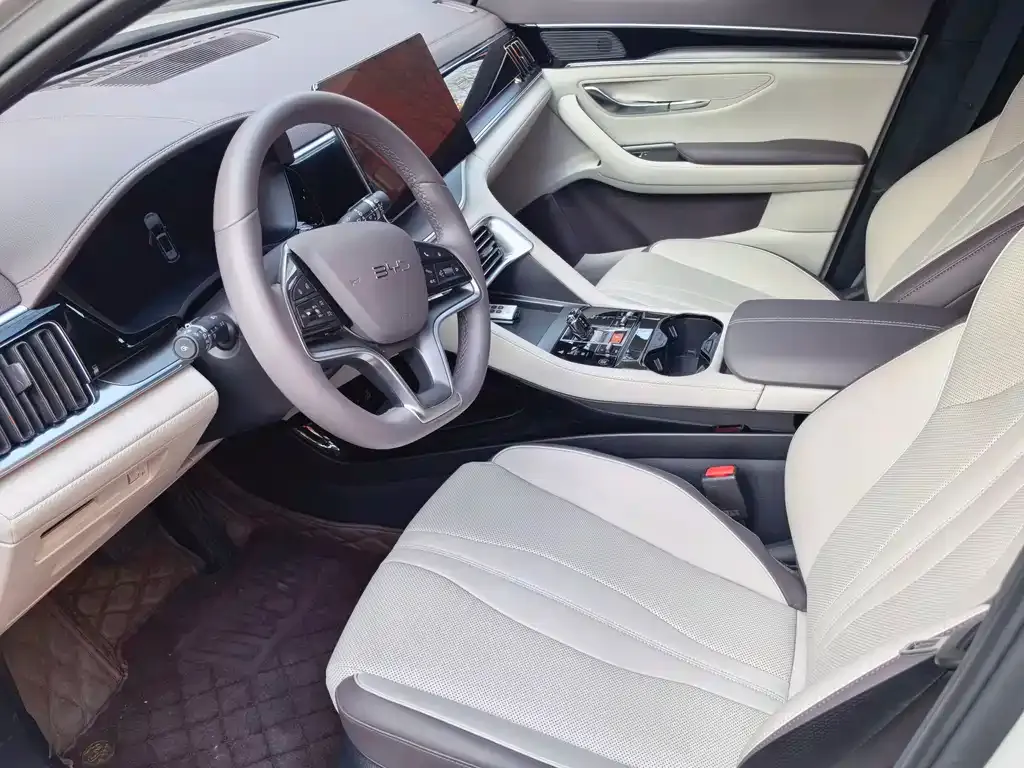 BYD PLUS New Energy 2024 из CN, фото 4