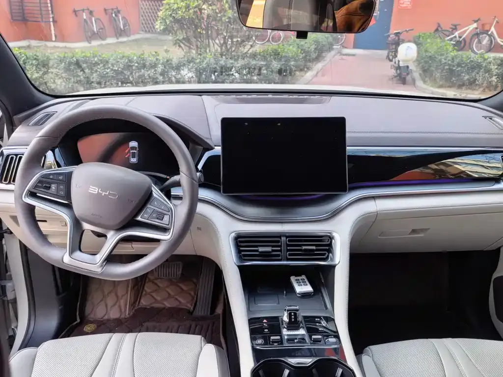 BYD PLUS New Energy 2024 из CN, фото 6
