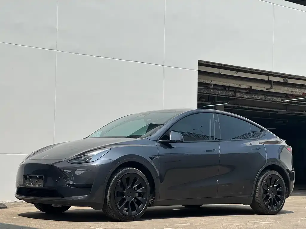 Tesla Model Y — фото 1