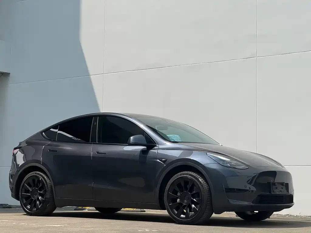 Tesla Model Y — фото 2