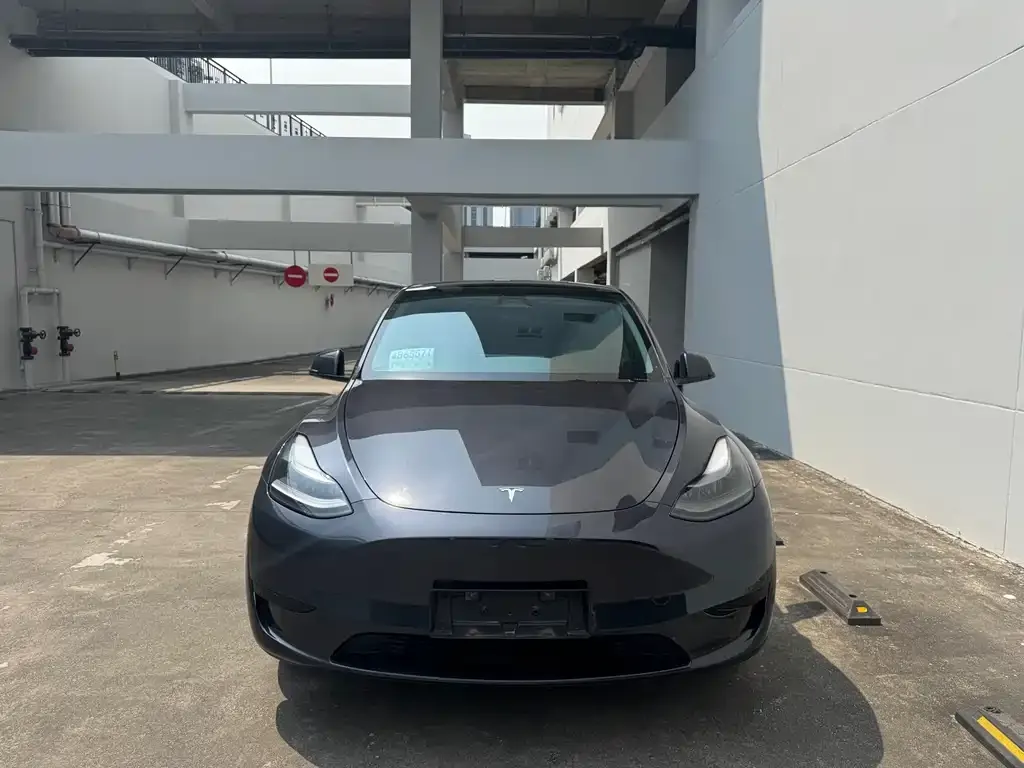 Tesla Model Y — фото 9
