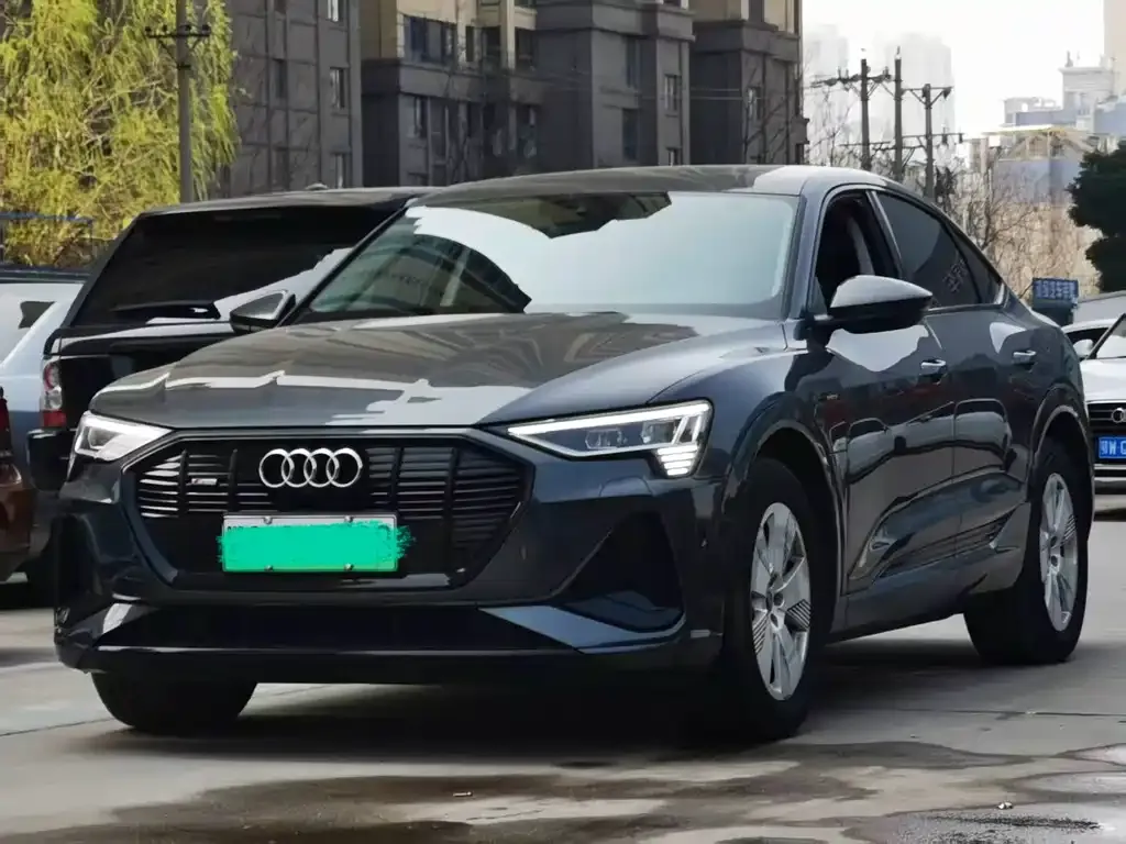 Audi e-tron (Import) — фото 1