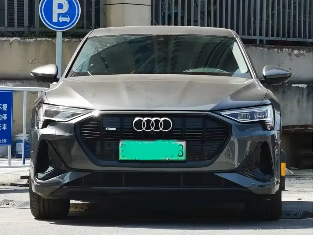 Audi e-tron (Import) — фото 5