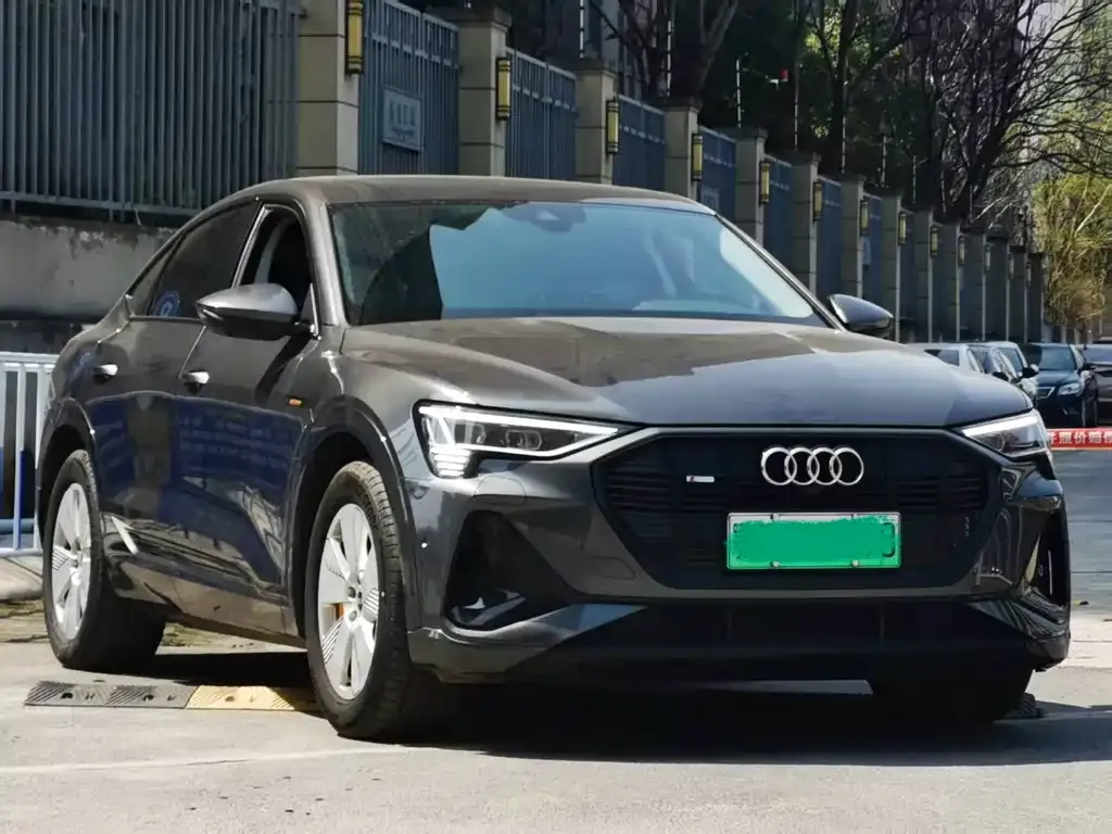 Audi e-tron (Import) — фото 3