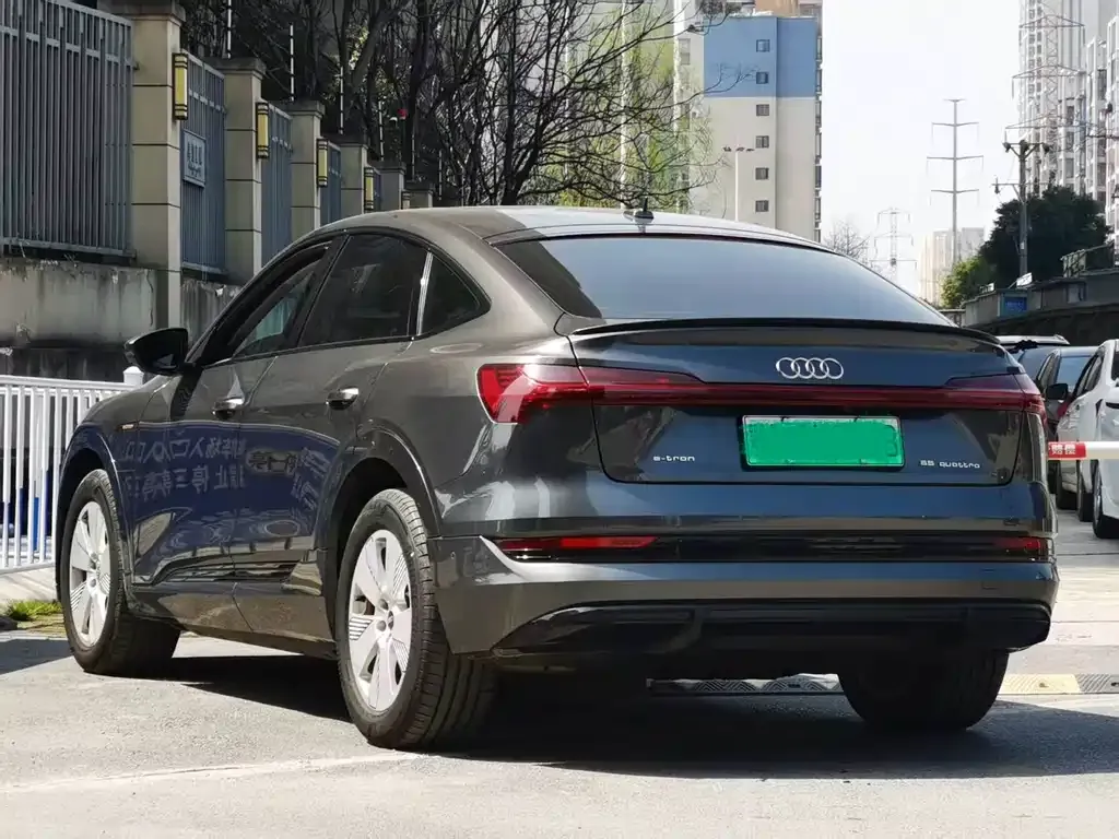 Audi e-tron (Import) — фото 6