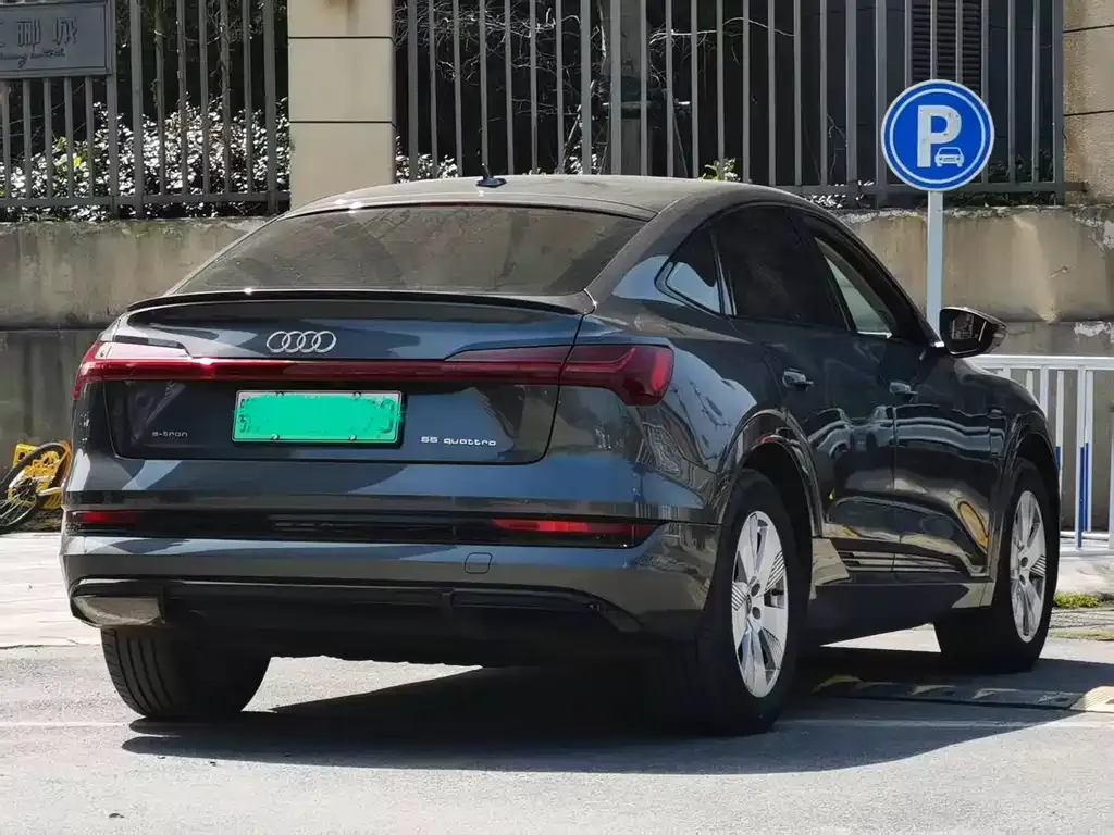Audi e-tron (Import) — фото 9