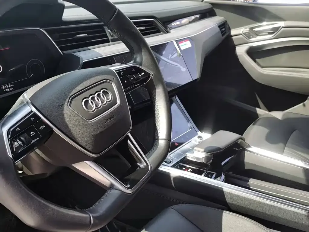 Audi e-tron (Import) — фото 8