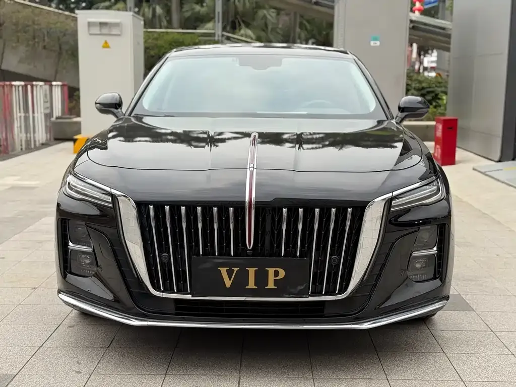 Hongqi H5 2024 из CN, фото 6