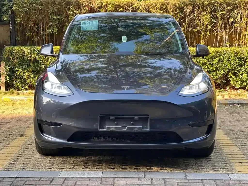 Tesla Model Y — фото 9